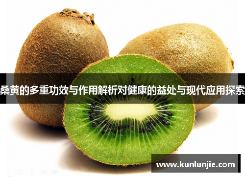 桑黄的多重功效与作用解析对健康的益处与现代应用探索