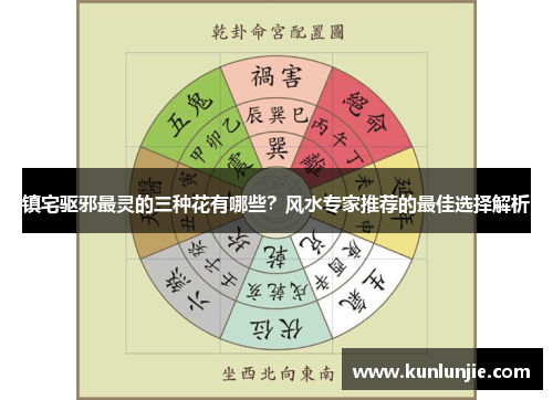 镇宅驱邪最灵的三种花有哪些？风水专家推荐的最佳选择解析