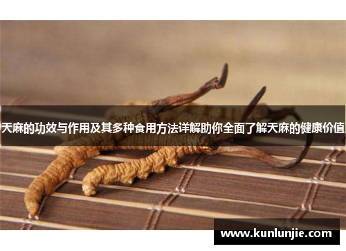 天麻的功效与作用及其多种食用方法详解助你全面了解天麻的健康价值