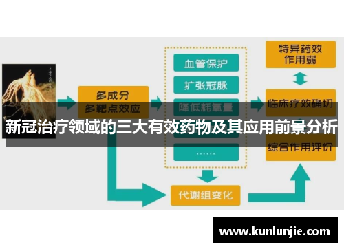 新冠治疗领域的三大有效药物及其应用前景分析